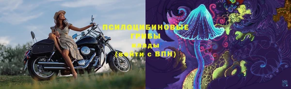 индика Алексин