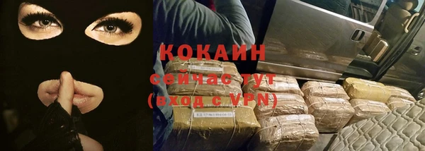 индика Алексин