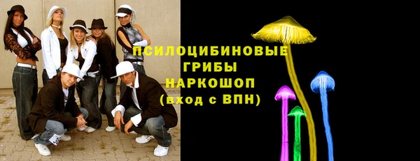 бошки Алексеевка