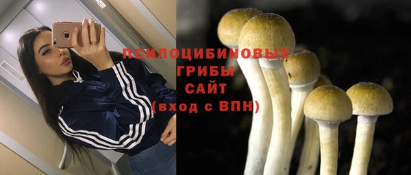 индика Алексин