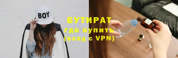 индика Алексин