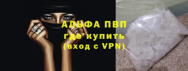 индика Алексин