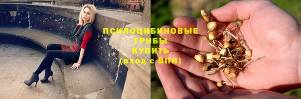 индика Алексин